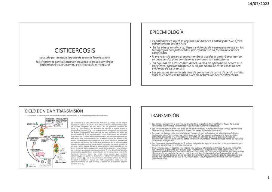 CISTICERCOSIS