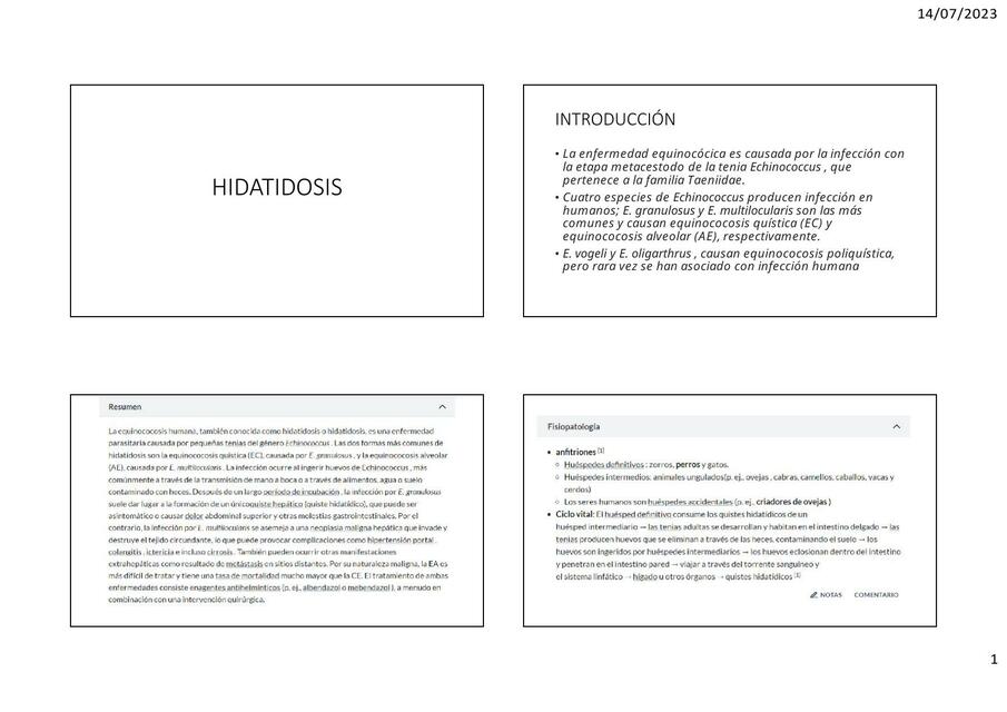 HIDATIDOSIS