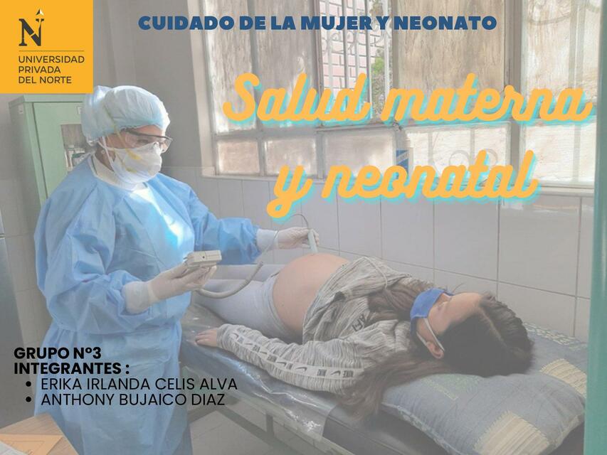 Salud Materna y Neonatal