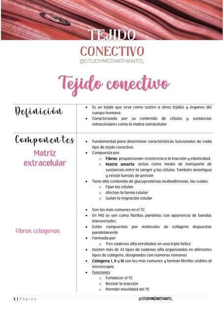 Tejido conectivo