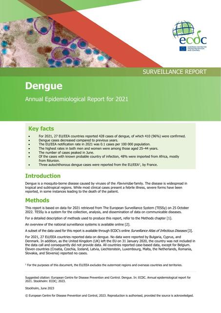 Dengue 