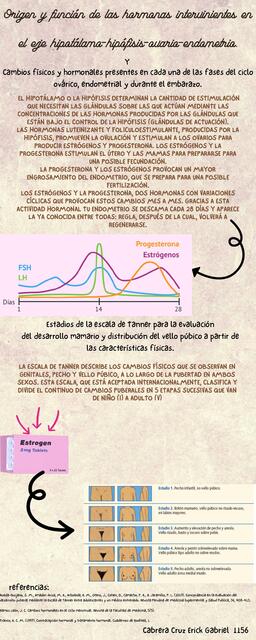 Cabios Físicos y Hormonales Presentes en cada una de las Fases del Ciclo Ovárico, Endometrial y Durante el Embarazo 