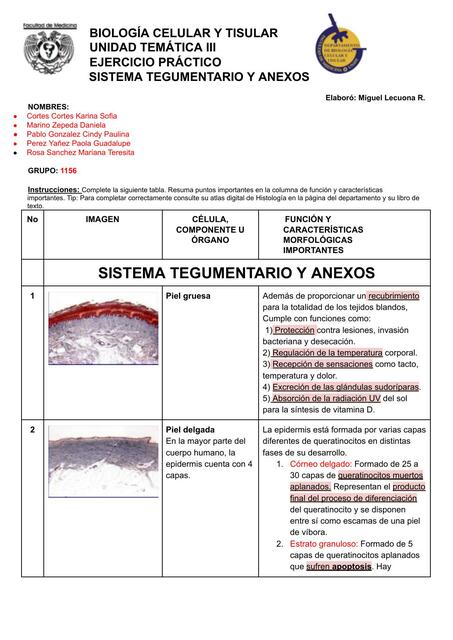 Sistema Tegumentario y Anexos 