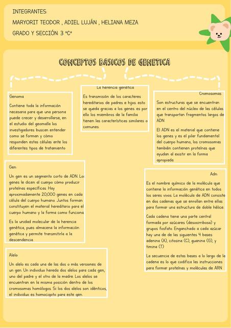 Conceptos básicos de la genética