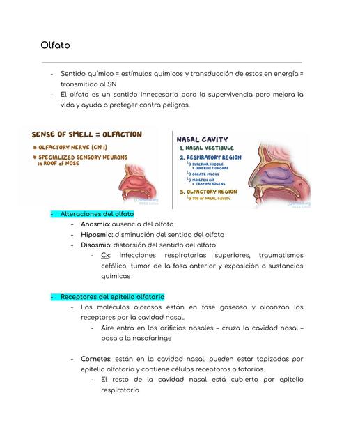 Fisiología del Olfato