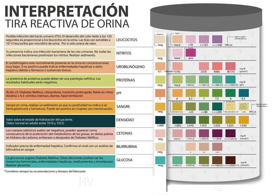 Interpretación tira reactiva de orina