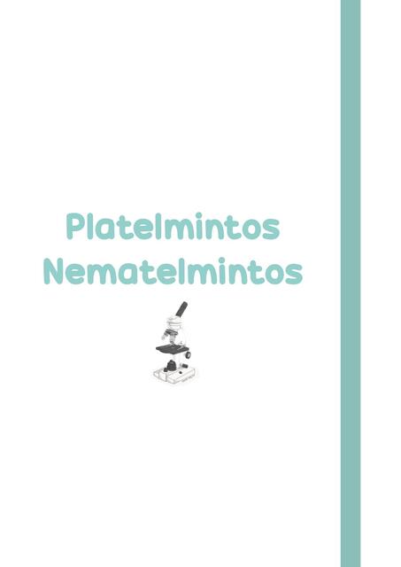 Platelmintos Y Nematelmintos