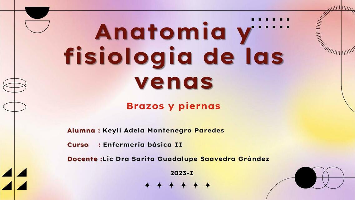 Anatomia Venosa