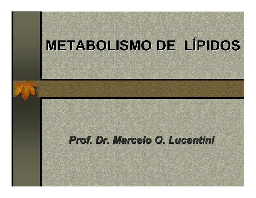 Metabolismo de Lípidos 