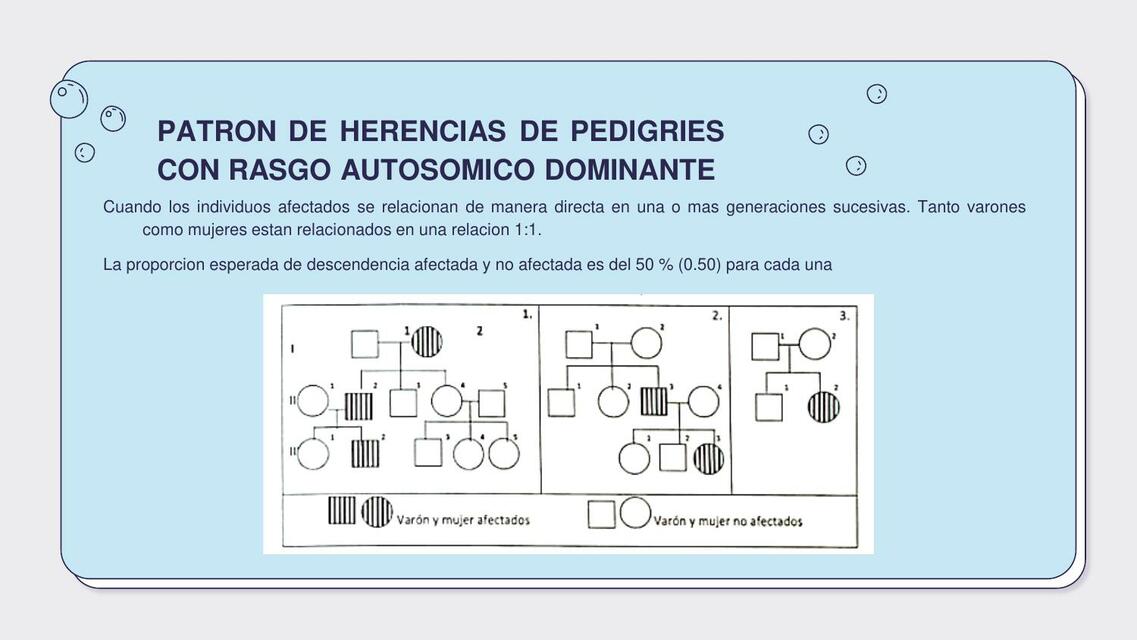 Patrón de Herencias de Pedigries con Rasgo Autosómico Dominante 