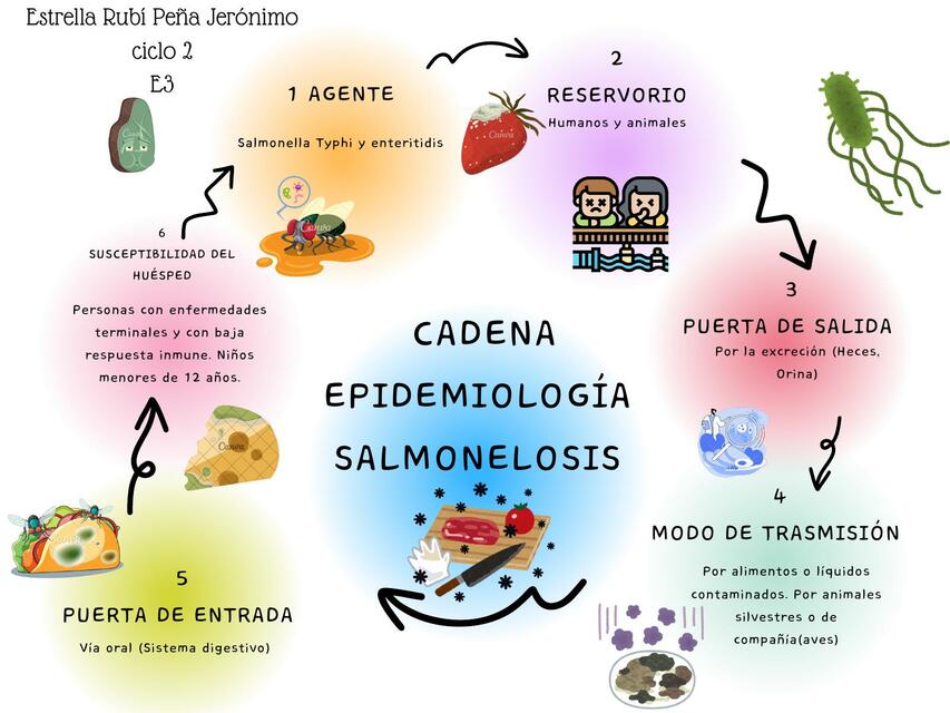Cadena Epidemiología Salmonelosis | rubi geronimo | uDocz