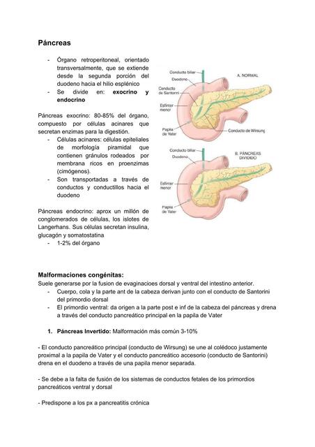 Patología de páncreas