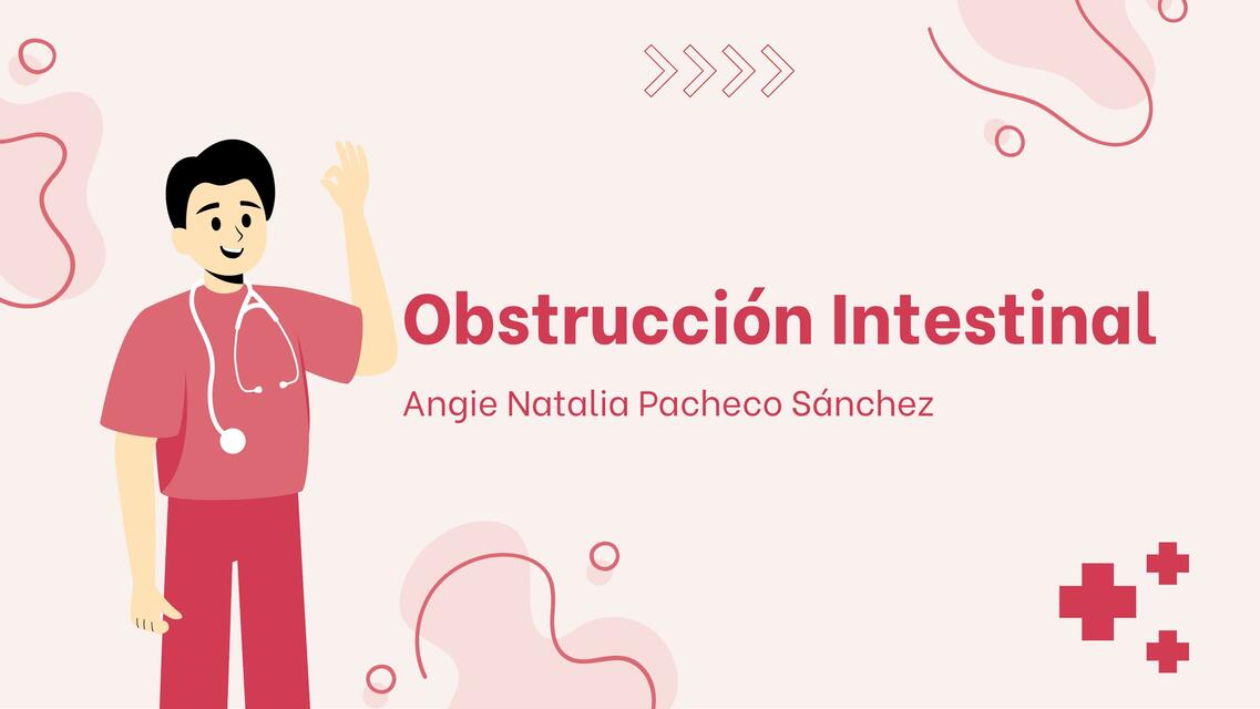 Obstrucción Intestinal