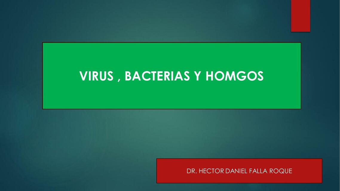 Virus, Bacterias y Hongos