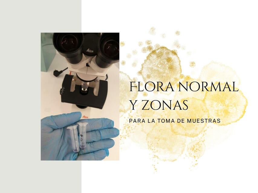 Flora Normal y Zonas para Muestra