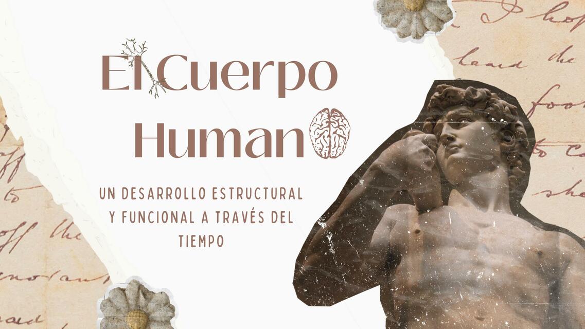 El Cuerpo Humano