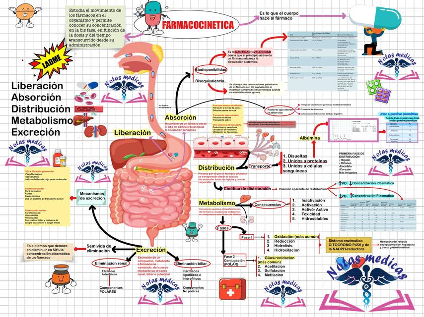 Farmacocinética 