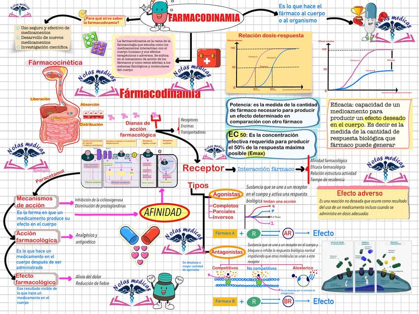 Farmacodinamia 