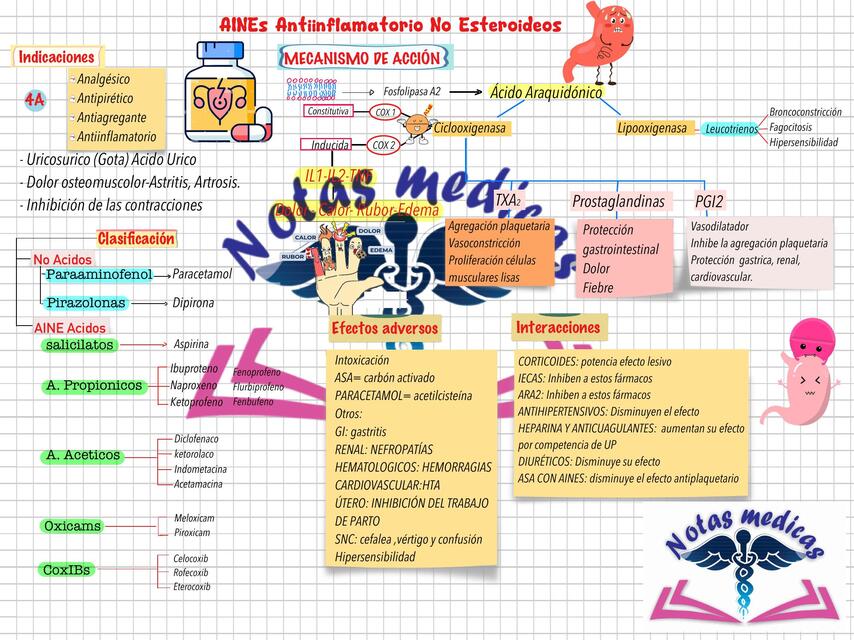 AINES antiinflamatorio No Esteroideos 