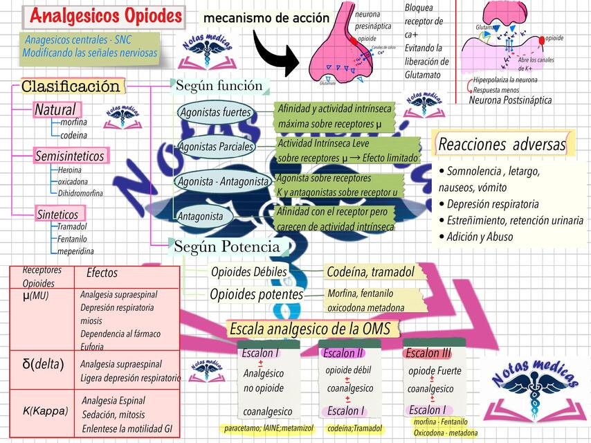 Analgésicos opioides   