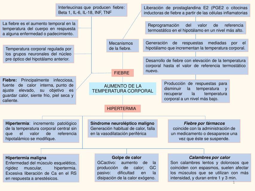 Aumento de la temperatura corporal 