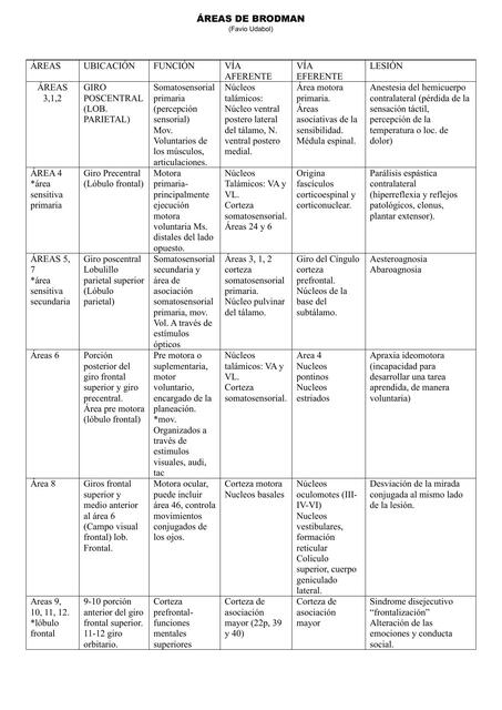 Áreas de brodman 