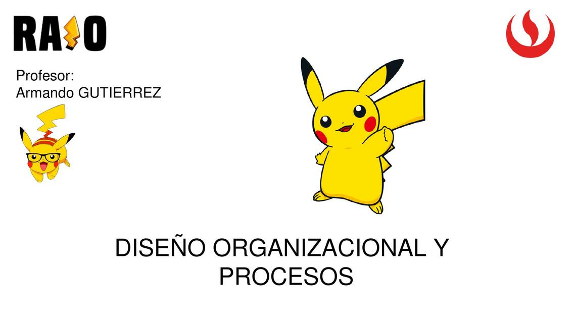 Diseño organizacion y procesos 