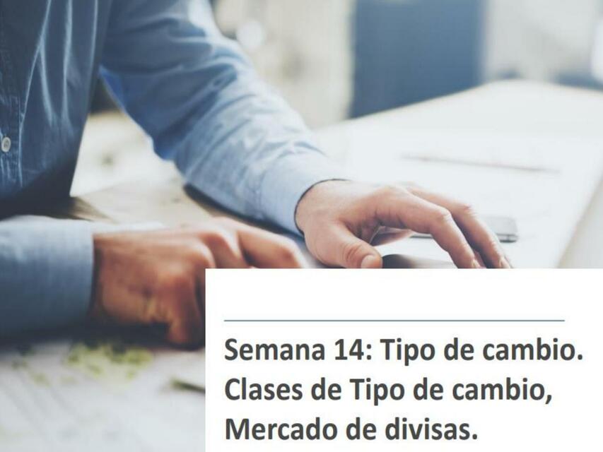 Semana 14: Tipo de cambio, clases de tipo de cambio, mercado de divisas 