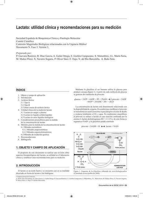 lactato medición y recomendaciones