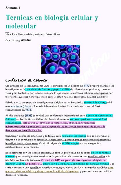 Tecnicas en Biologia Celular y Molecular - Microscopio