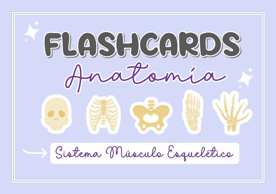 Flashcards Anatomía 