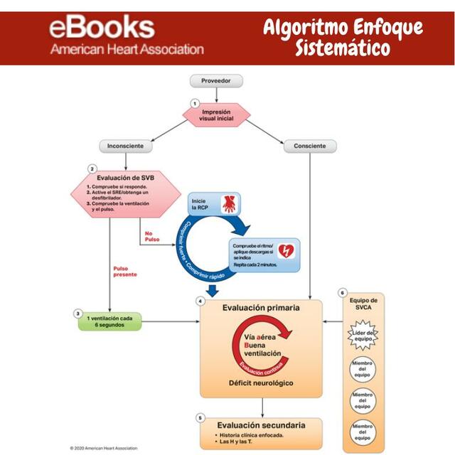 Algoritmo Enfoque Sistemático 