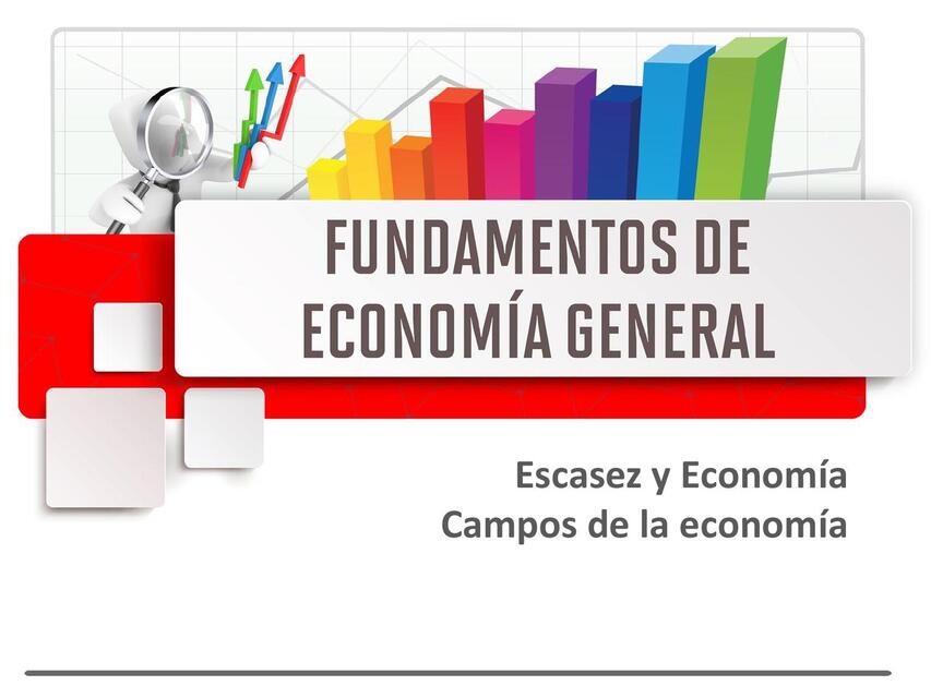 Escasez y Economía Campos de la economía 