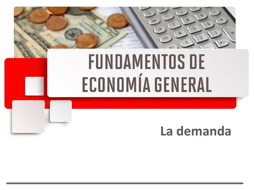 Fundamentos determinantes de la demanda