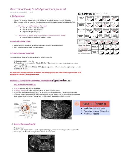 Determinación de la edad gestacional prenatal