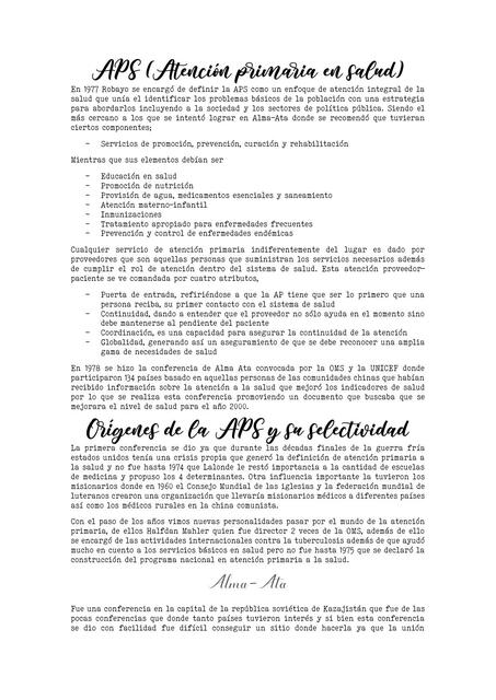 APS (Atención Primaria en Salud)