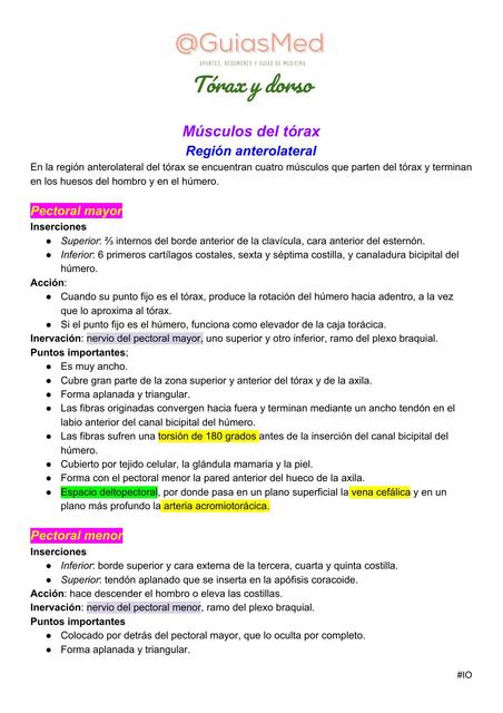 Torax Anatomia - Resumen Quiroz