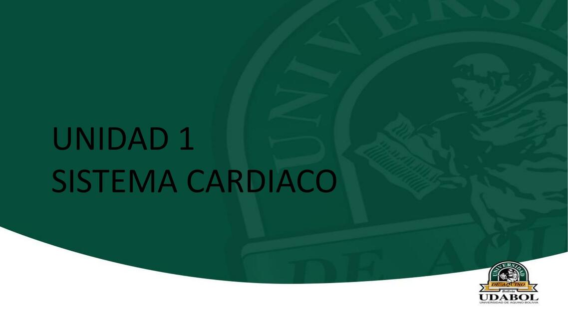 Sistema Cardiaco 