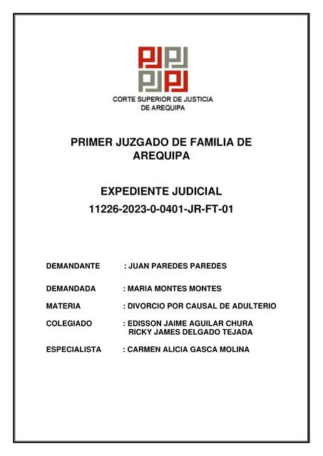 Forense Civil - Expediente Judicial 