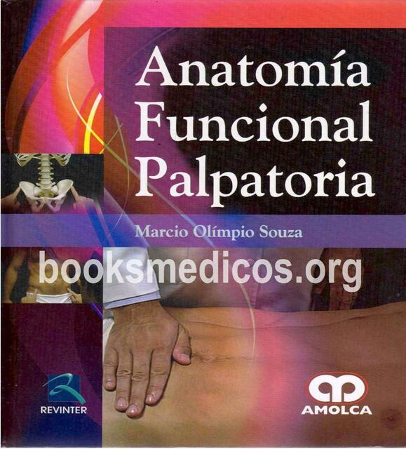 Anatomía Funcional Palpatoria 