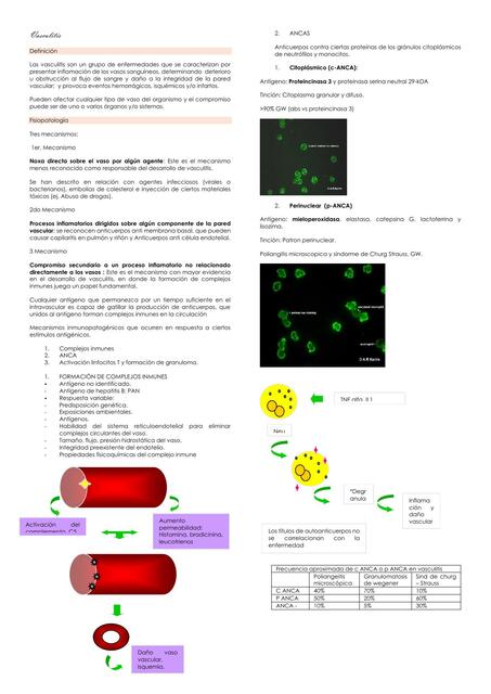 Vasculitis