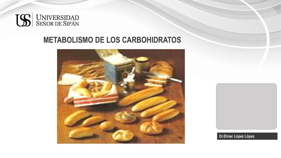 Metabolismo de los carbohidratos