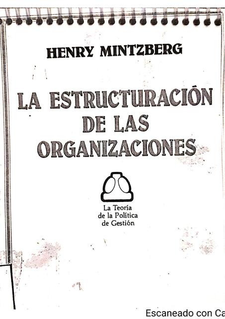 La estructuracion de las organizaciones 