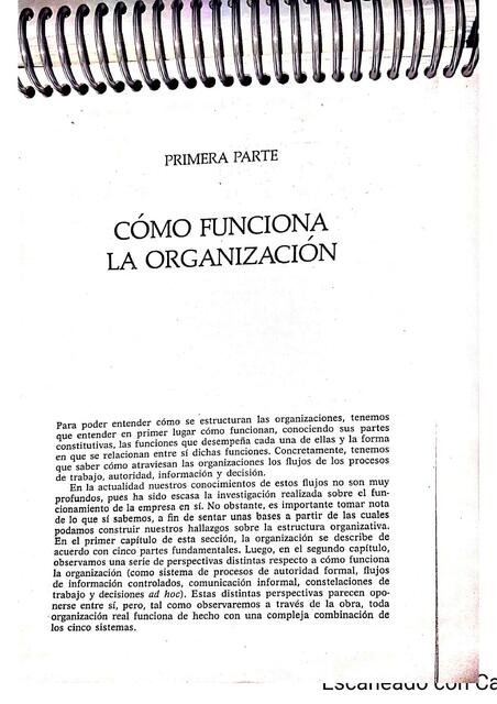 Como funciona la organizacion 