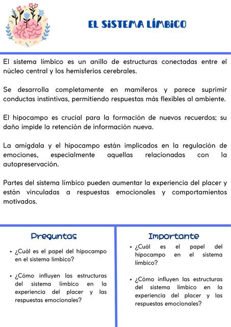 El sistema límbico