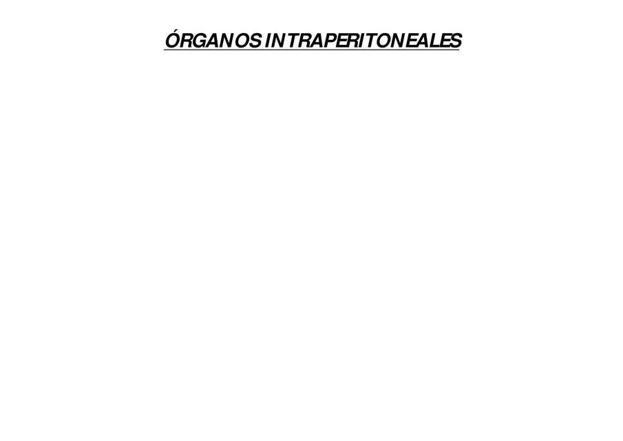 Órganos intraperitoneales 