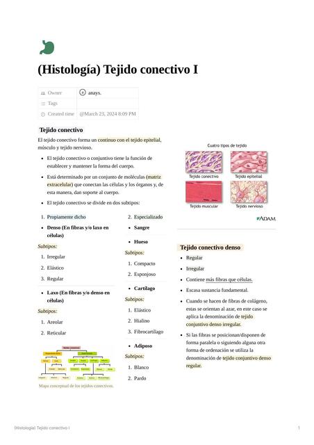 Histología Tejido Conectivo I