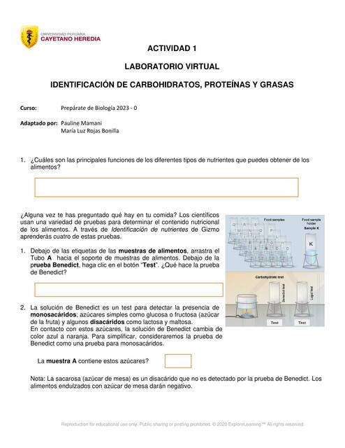 Identificación de Carbohidratos, Proteínas y Grasas 