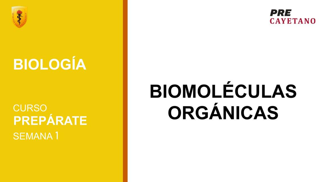 Carbohidratos: Principal Fuente de Energía 