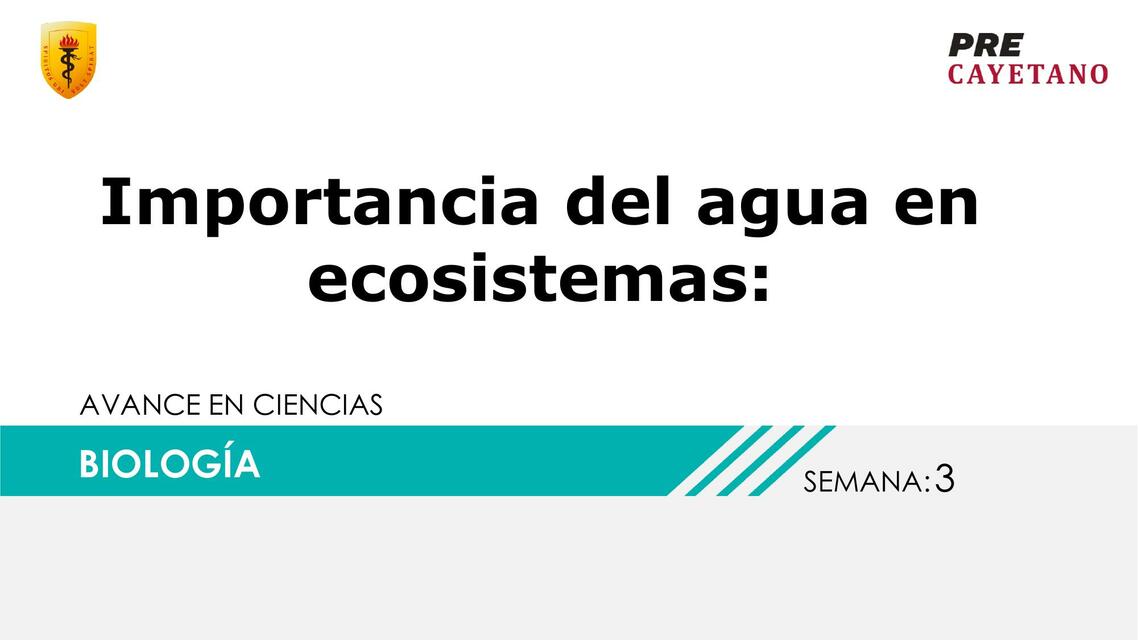 Importancia del Agua en Ecosistemas 